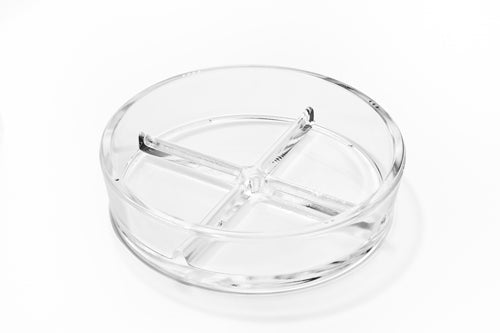 Quad Petri Dish